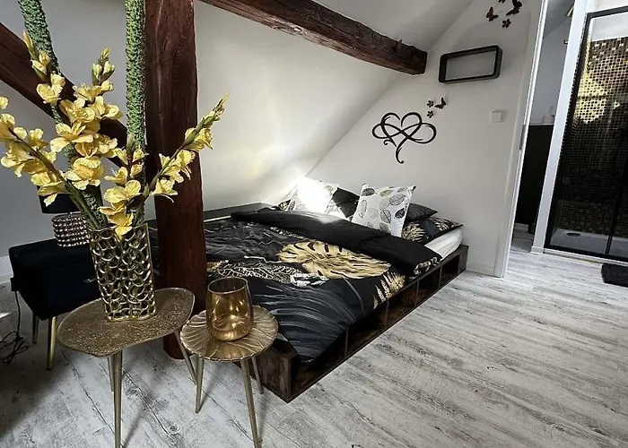 Statek Appartement Brezina (Slapanice, Brno-Country)